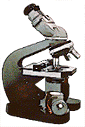 Picture of a microscope.
