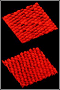 Topographic map showing atoms as small protrusions.